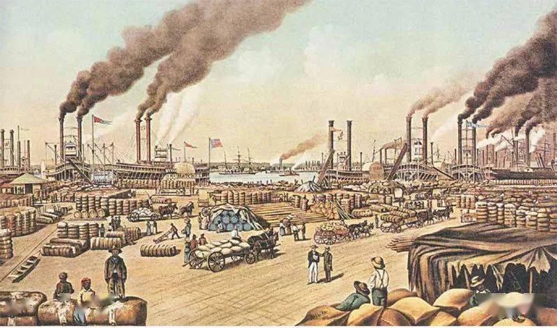 棉花 撬动世界史的神奇植物 木棉