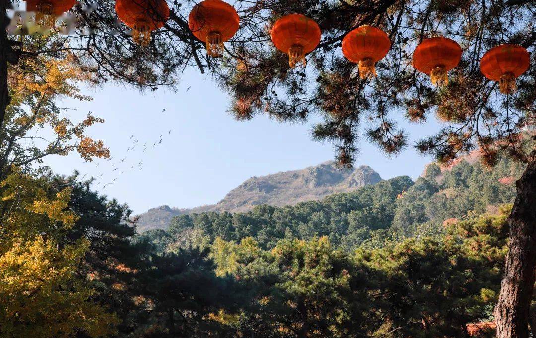 翠微山,青龙山;闻名于世的八宝山;还有众多如:黑头山,鬼子山,四平山