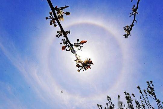 太阳又变蓝了受沙尘影响北京上空再现火星同款蓝太阳