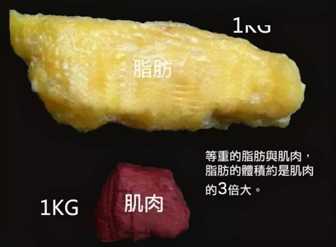 什么是高密度脂肪 e39892070ad447c2aa1c926c5e4b968d.jpeg