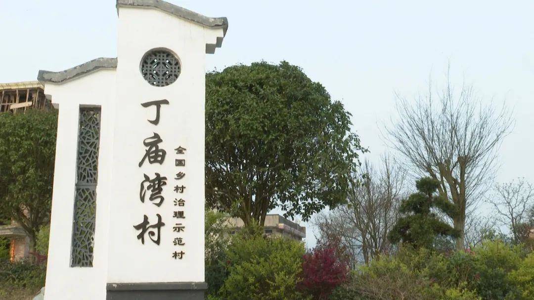 祁阳丁庙湾村坚持党建引领助推乡村振兴