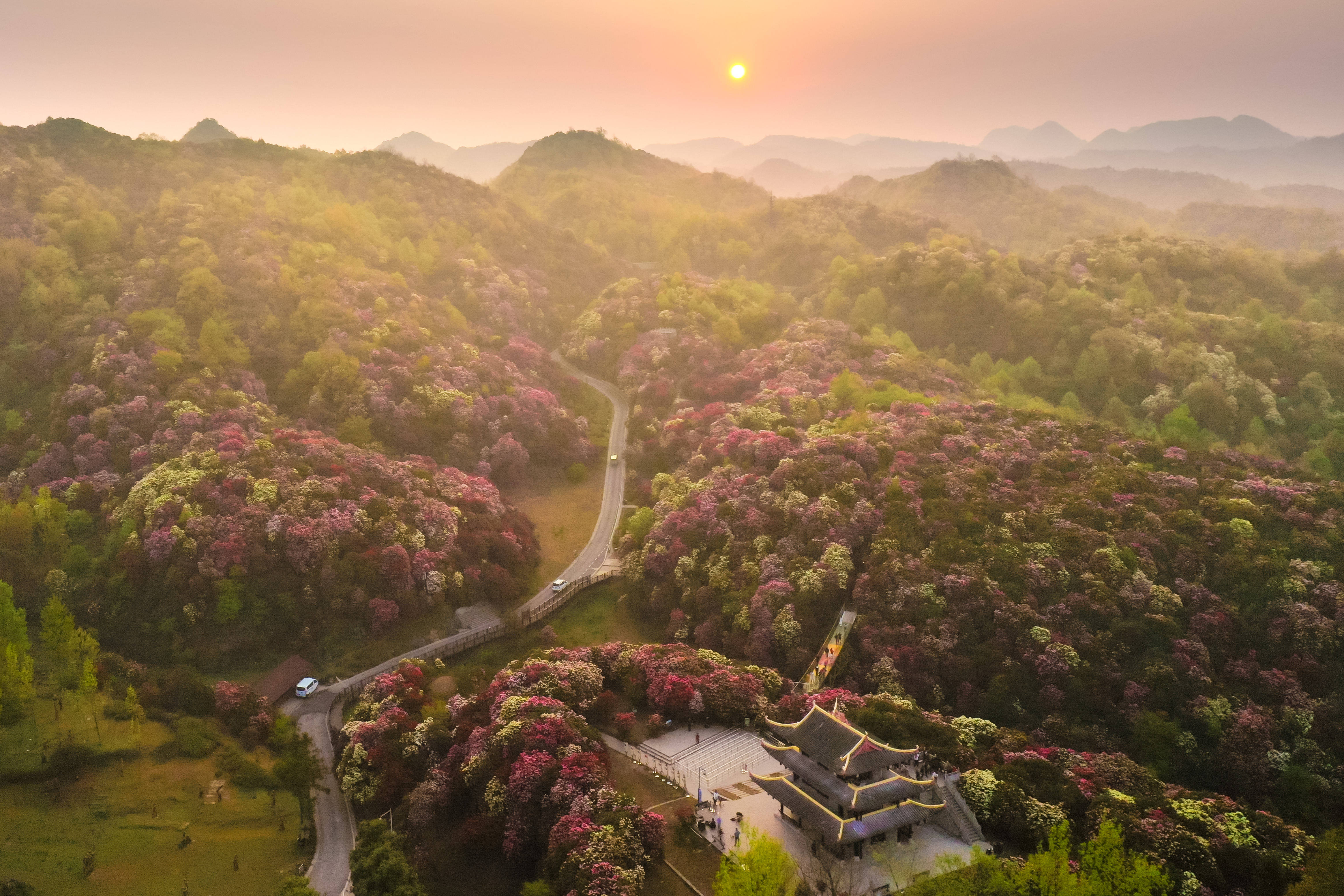 贵州百里杜鹃花景区图片