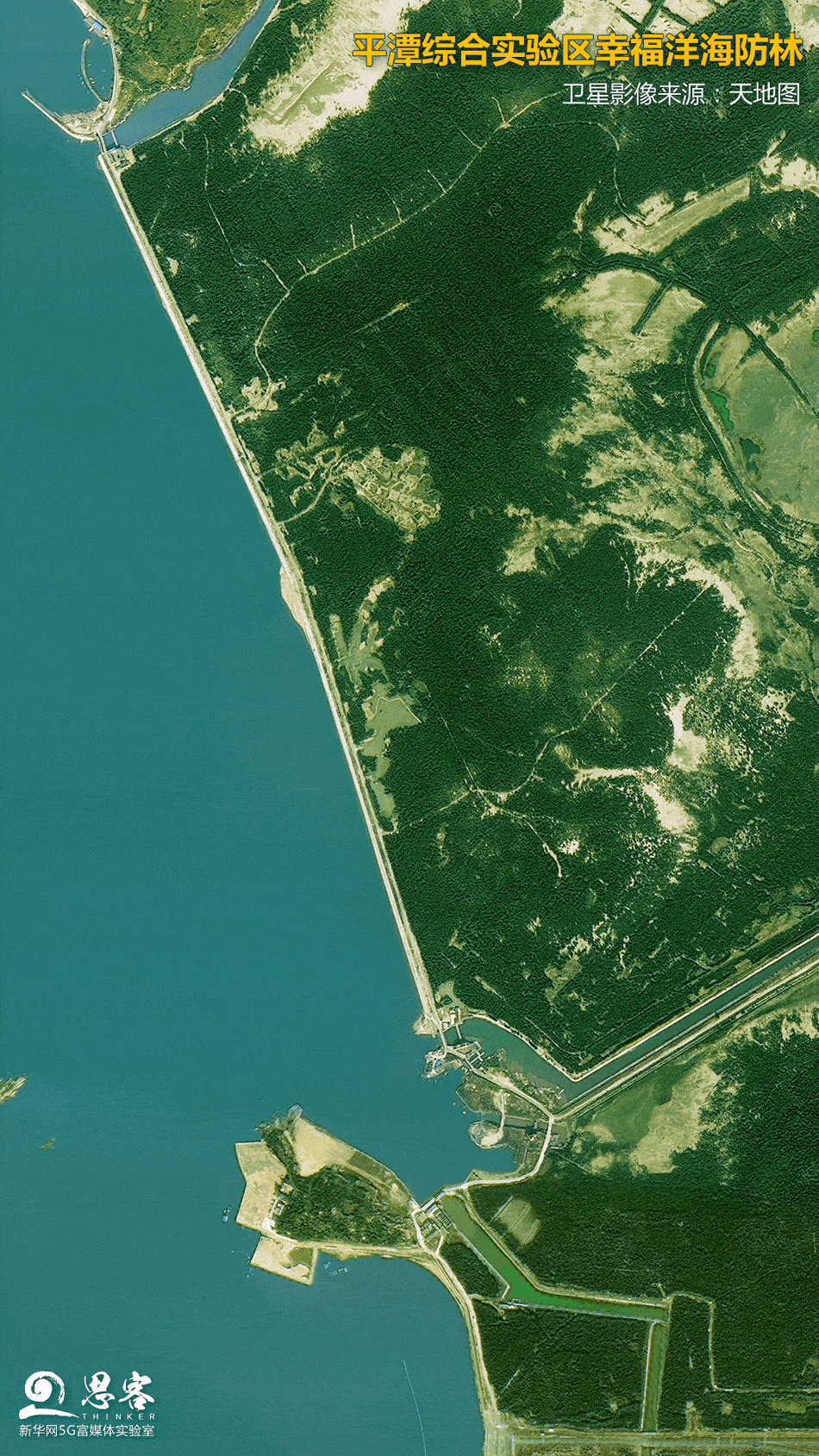 平潭综合实验区幸福洋海防林卫星影像来源:天地图
