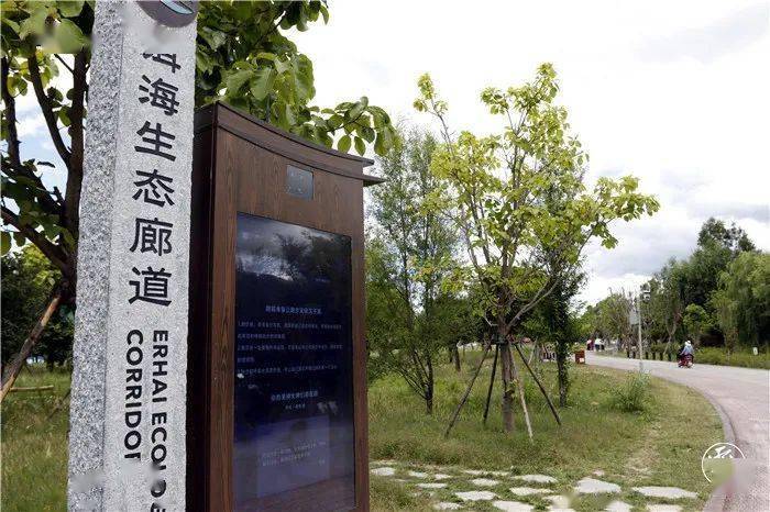 洱海生态廊道:智慧化守护水清岸绿_大理