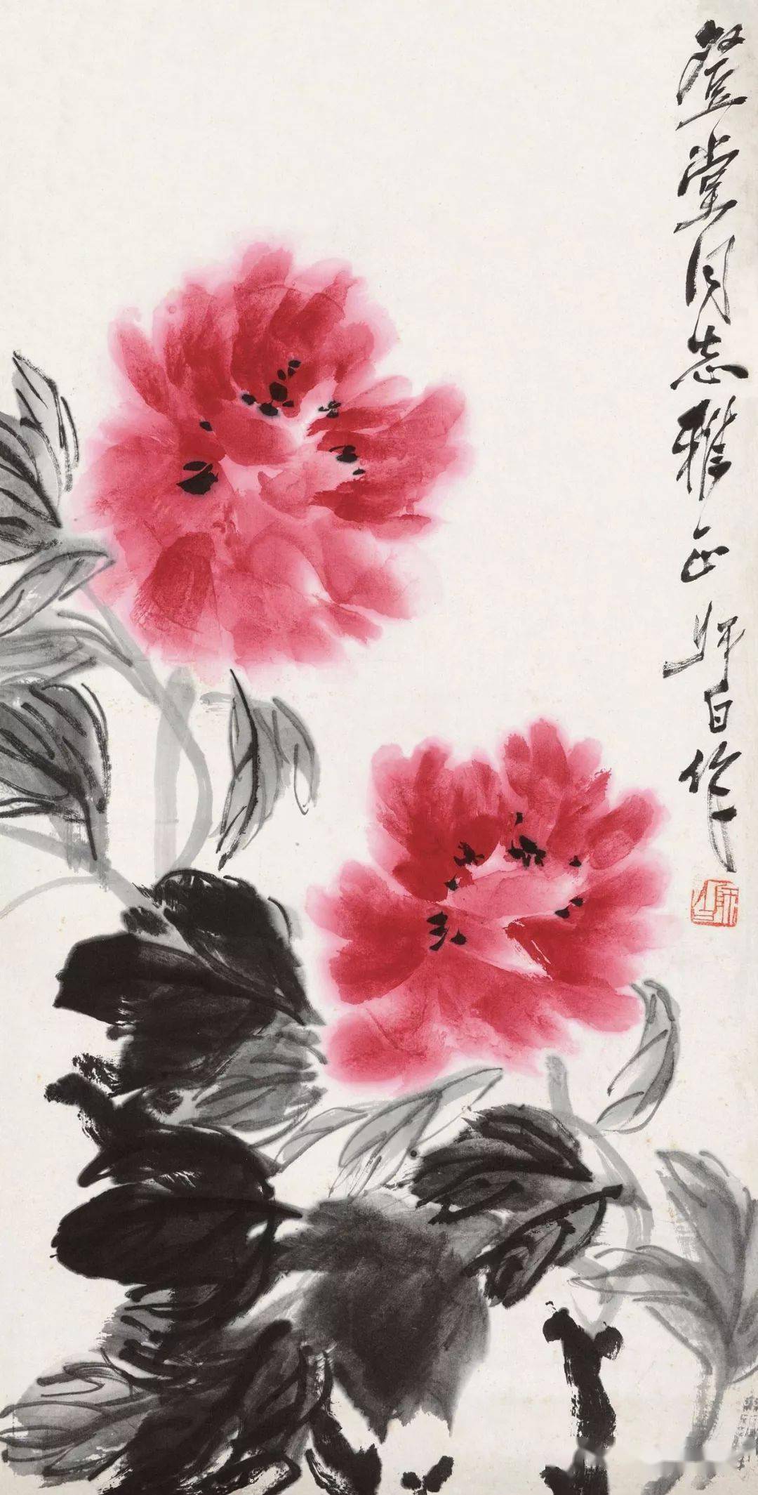 富贵多彩娄师白牡丹作品欣赏