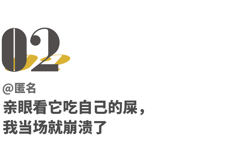 我劝你别养猫 不如留着钱买包 小时