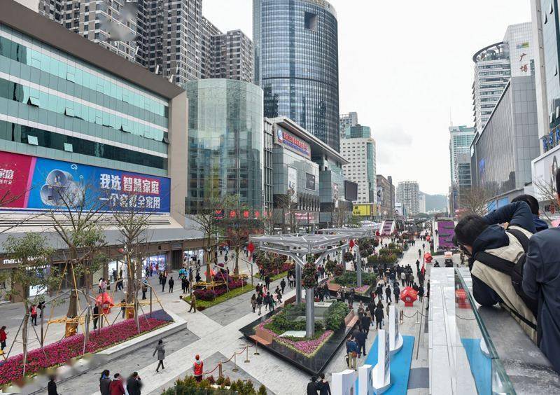 2020深圳各区历年gdp排名_深圳各区gdp排名2020(3)