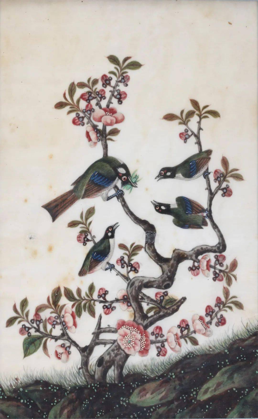通草画1819世纪的中国明信片