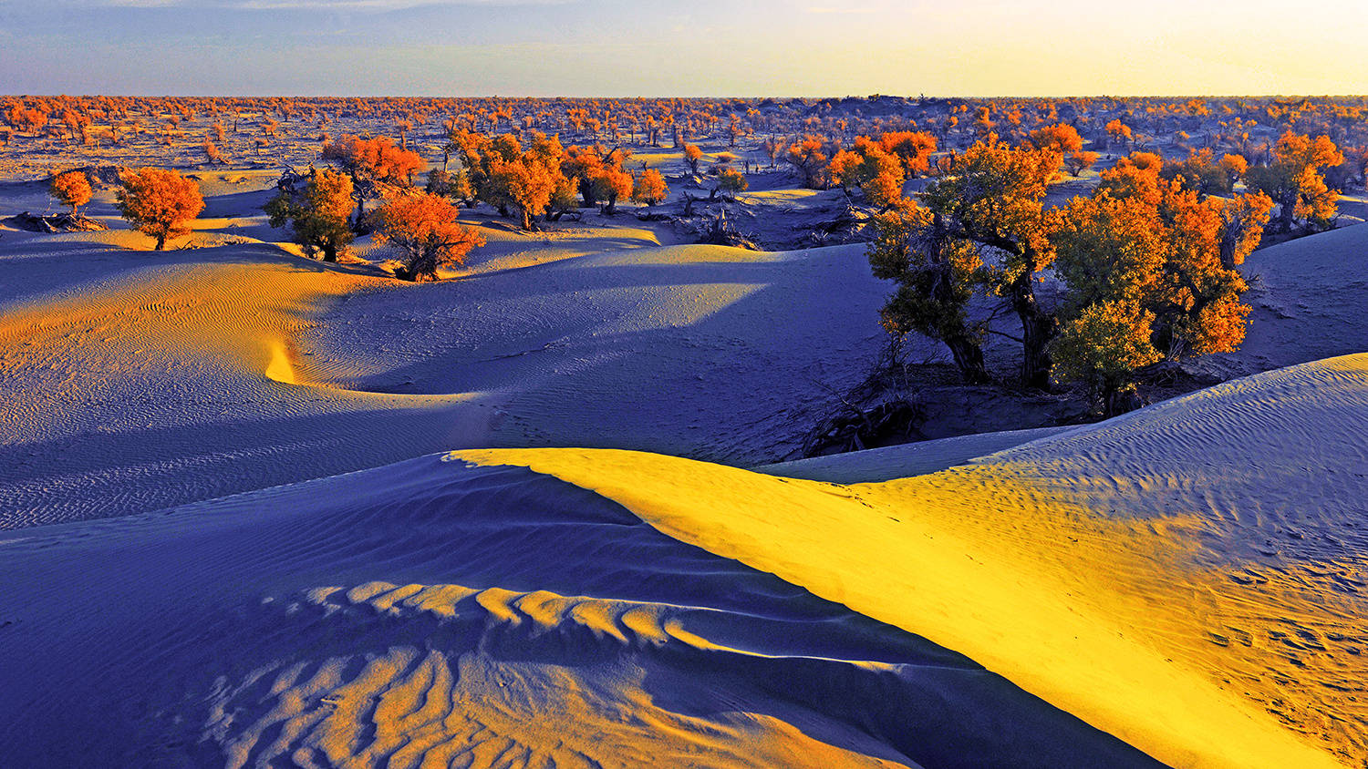 塔克拉玛干沙漠 2022沙漠发洪水了