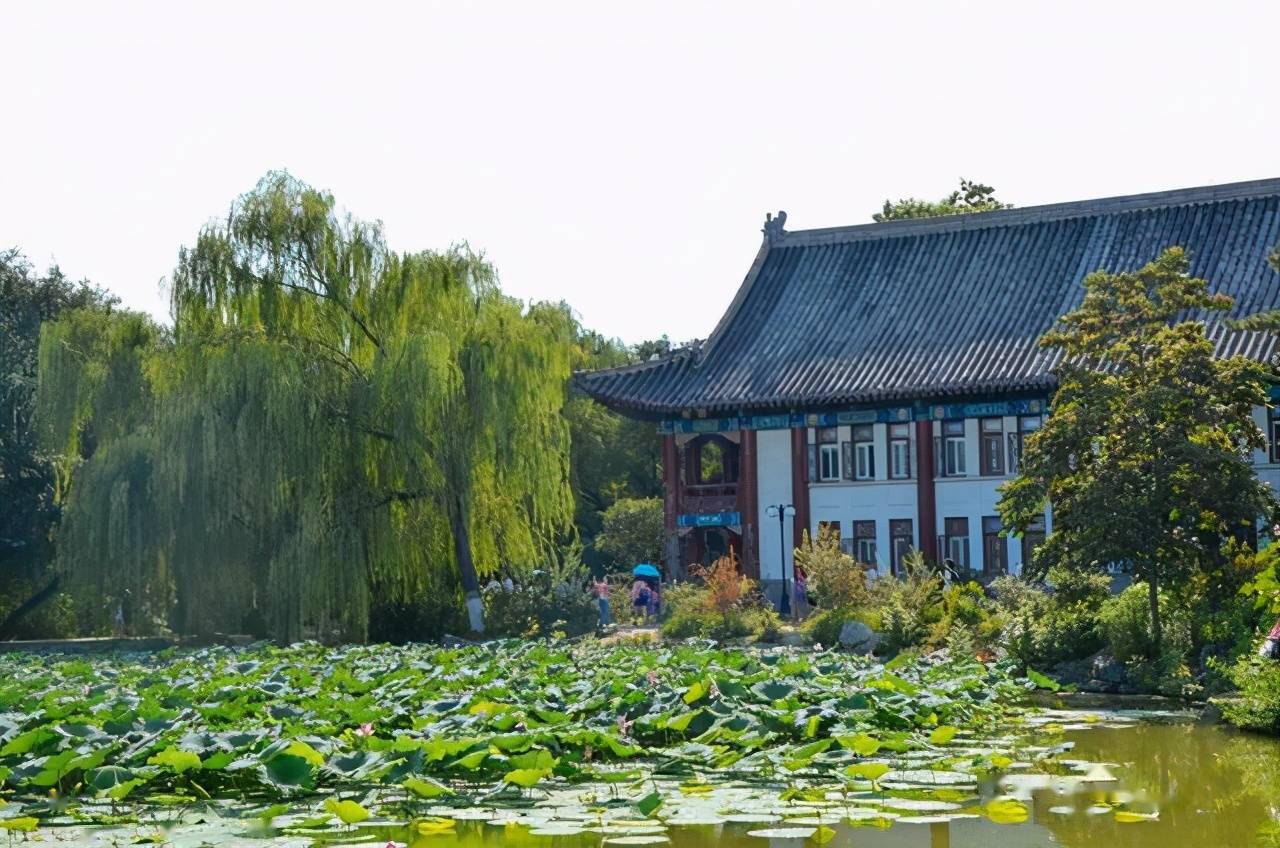 不少家长都带孩子来北京大学,里面的风景究竟有多美?