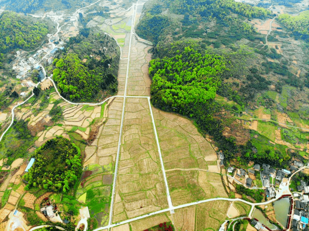 随着气温逐步回暖,新宁县巡田乡长铺村花海世界即将迎来新一年的盛
