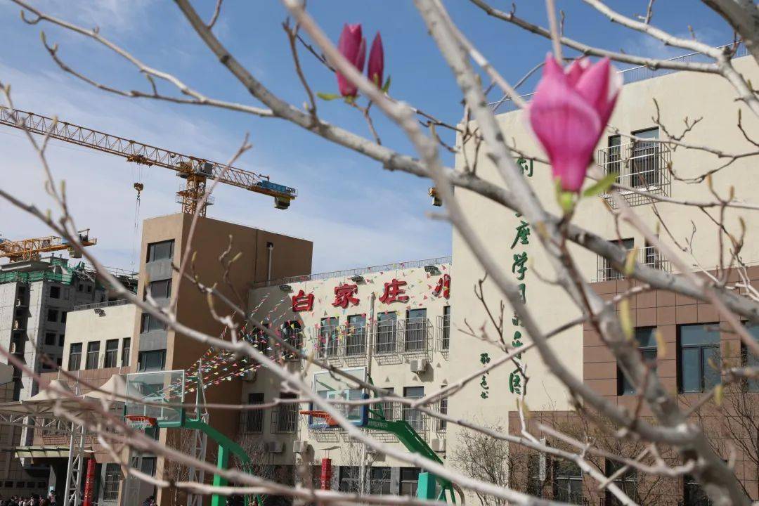 坐标朝阳校园快来pick你喜欢的景色吧