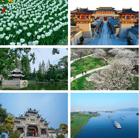 ⑨保康中華紫薇林牡丹花 五道峽 漢江遊輪 米公祠⑩南漳春秋寨芝櫻花