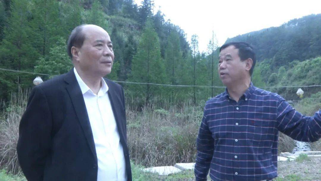 宁德市老促会会长陈成章莅古调研