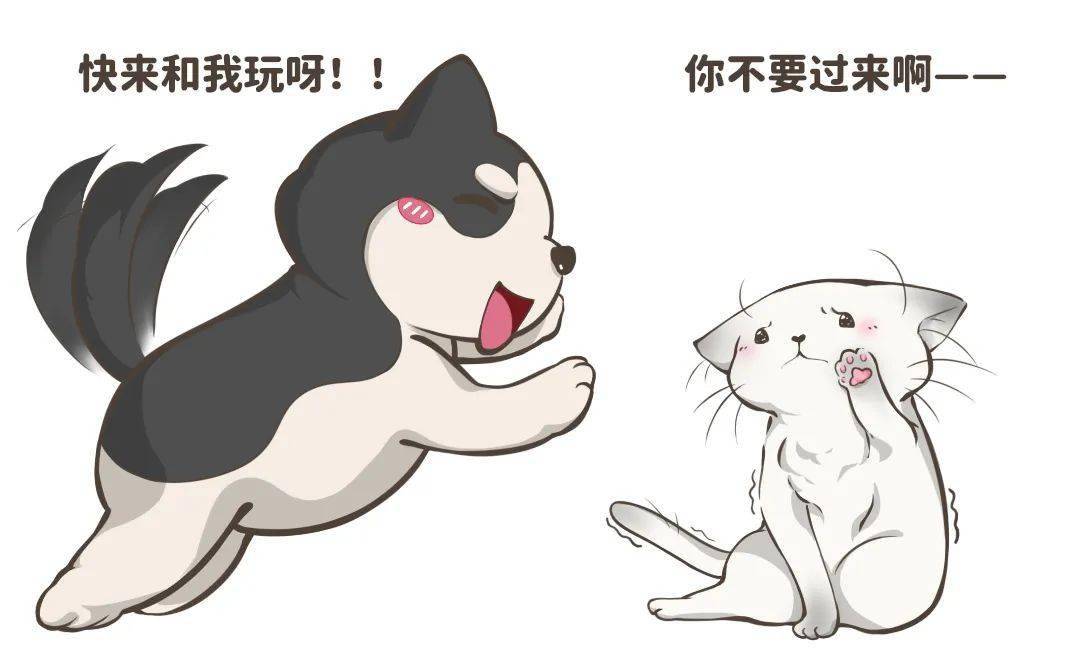 怎么可以不打咕噜 44bf00c3c17546b49fcde3b7c2a02f70.jpeg