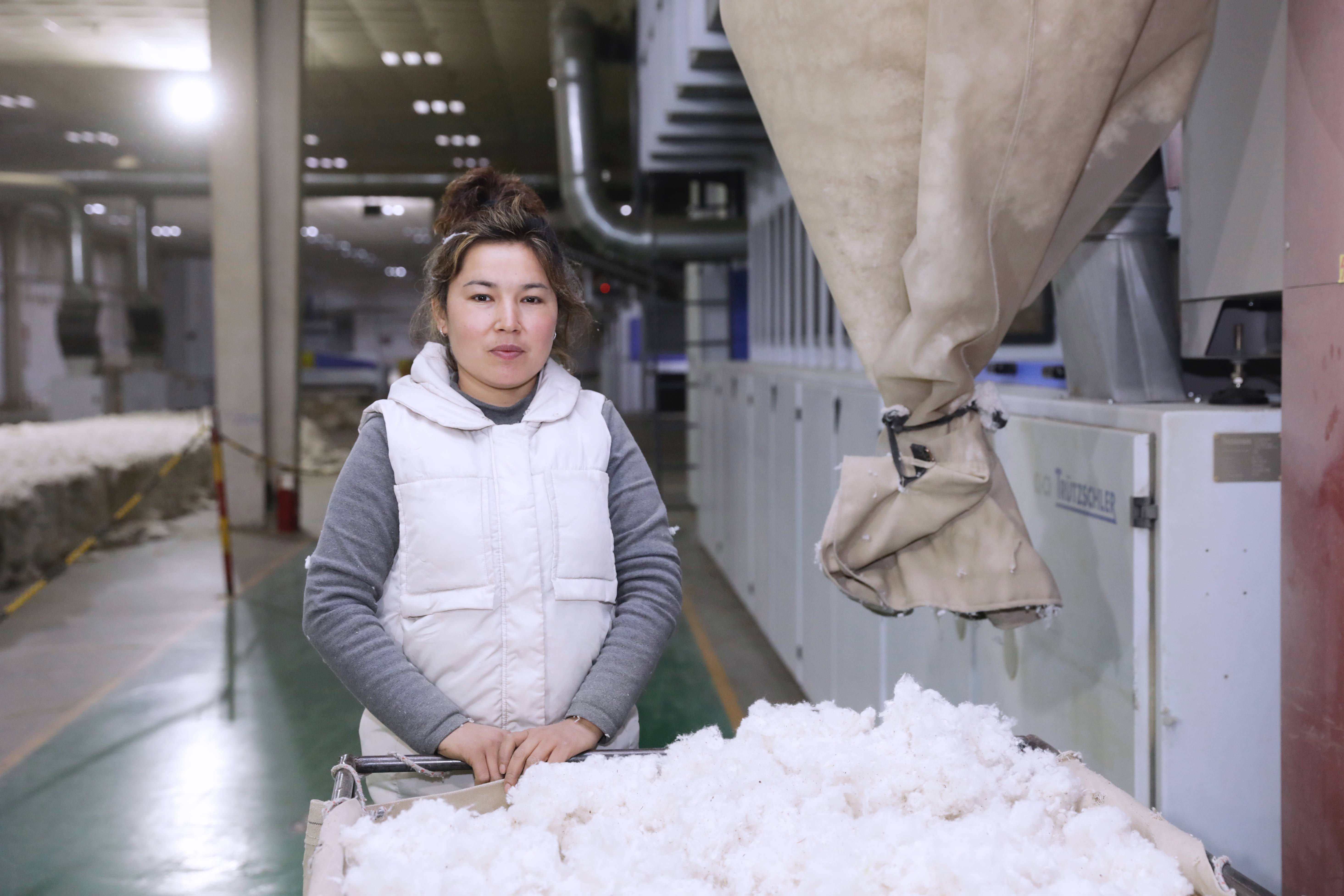 实地探访新疆棉春播和生产车间,见证一朵新疆棉的成长_棉花