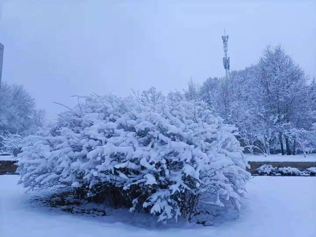 今天雪景,西宁这场雪还要下多久?