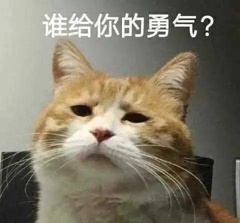 网点|共享充电宝涨价上热搜！测评发现：计费标准多，网点太难找