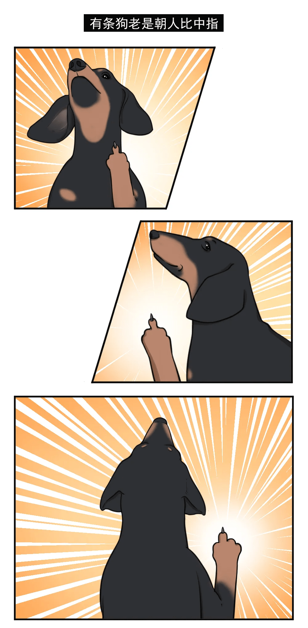 搞笑漫画霸道狗总喜欢对人比中指的霸道狗狗