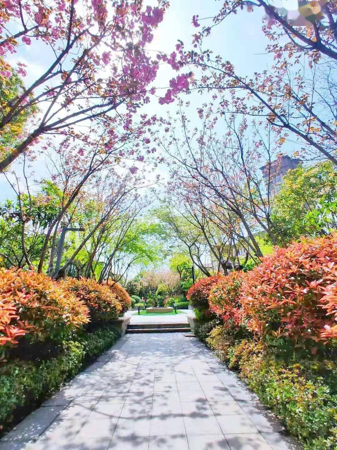 文章配图-139