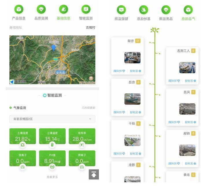 农业|全程监管、提前预警 农业数字化让小茶叶走出“数据路”
