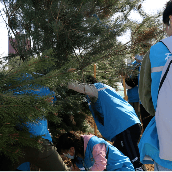 首都全民义务植树日石景山区冬奥城市志愿者在衙门口城市森林公园种下