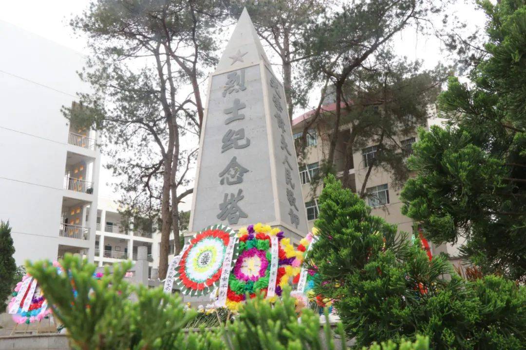 4月2日,共青团扶绥县委联合县教育局召集县直各单位青年党员,青年团员