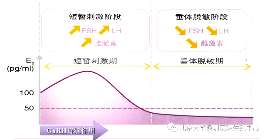 促性腺激素释放激素gnrh类似物01gnrh激动剂(gnrh-a)代表药物有