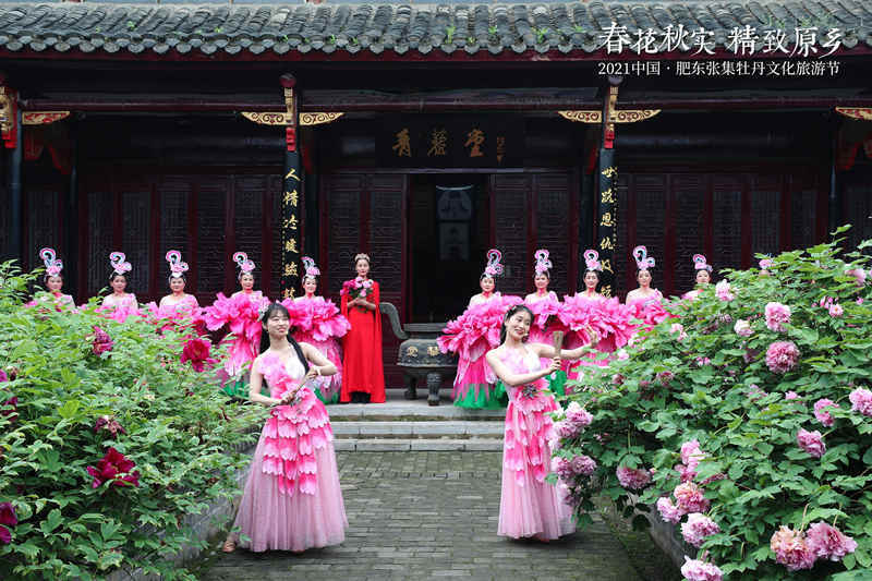 2021中国·肥东张集牡丹文化旅游节精彩启幕