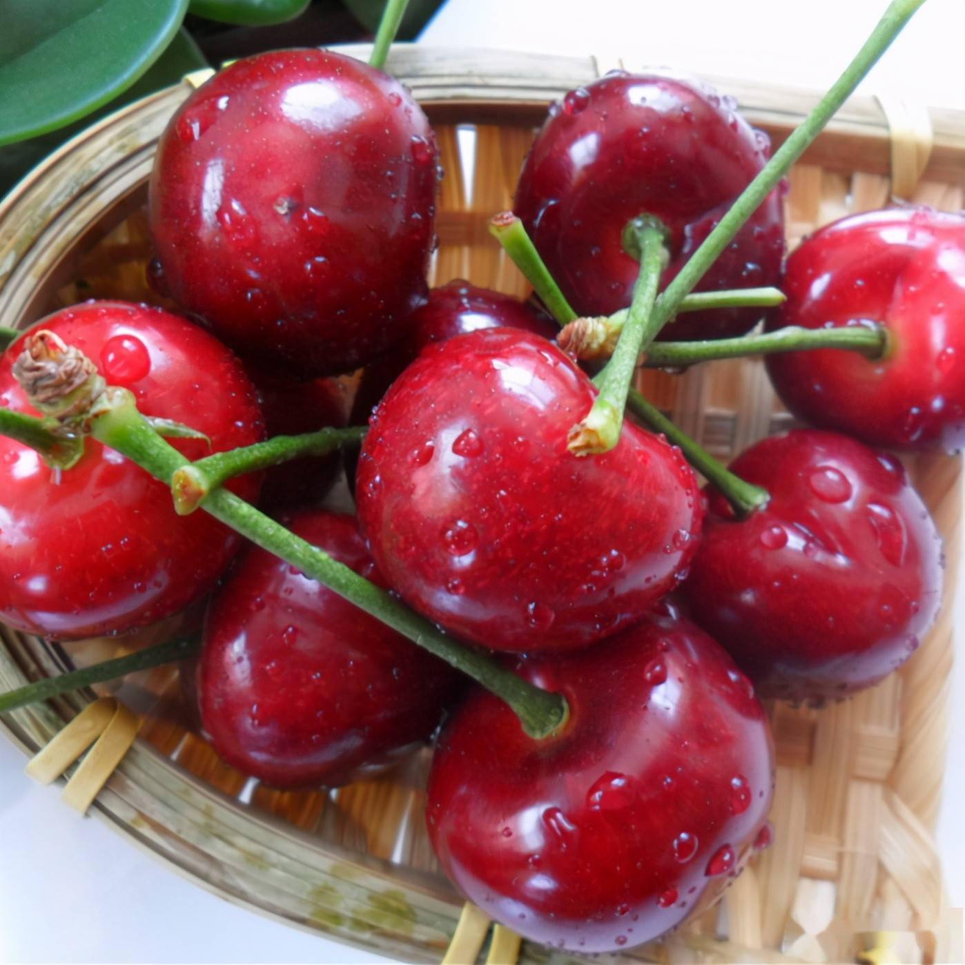 甜樱桃布鲁克斯在宁波市的引种栽培表现及栽培关键技术