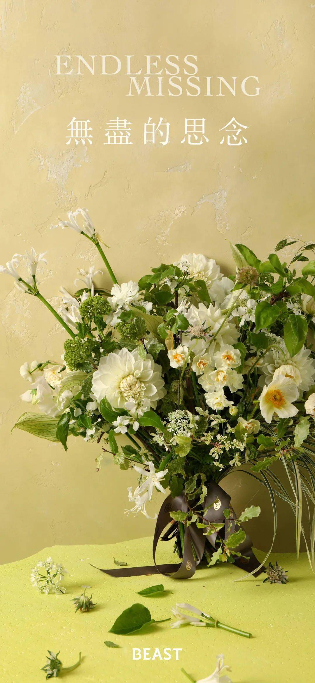 送你一朵小白花代表无尽的思念