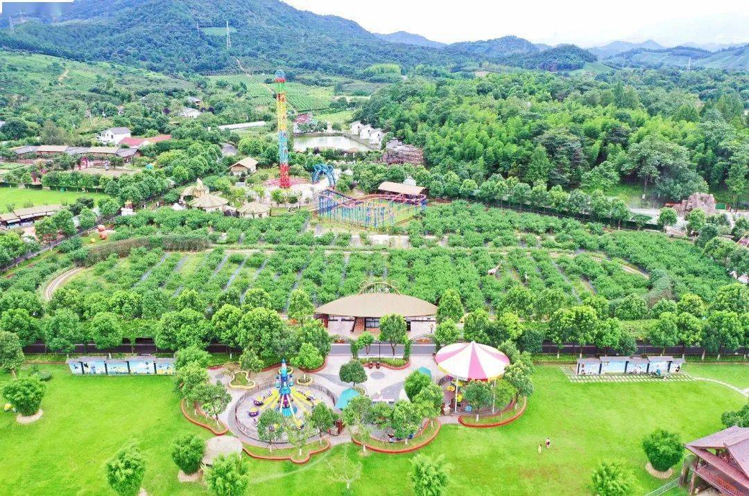 德清下渚湖的三道茶 杨墩生态休闲农庄 安吉帐篷客溪龙茶谷度假酒店