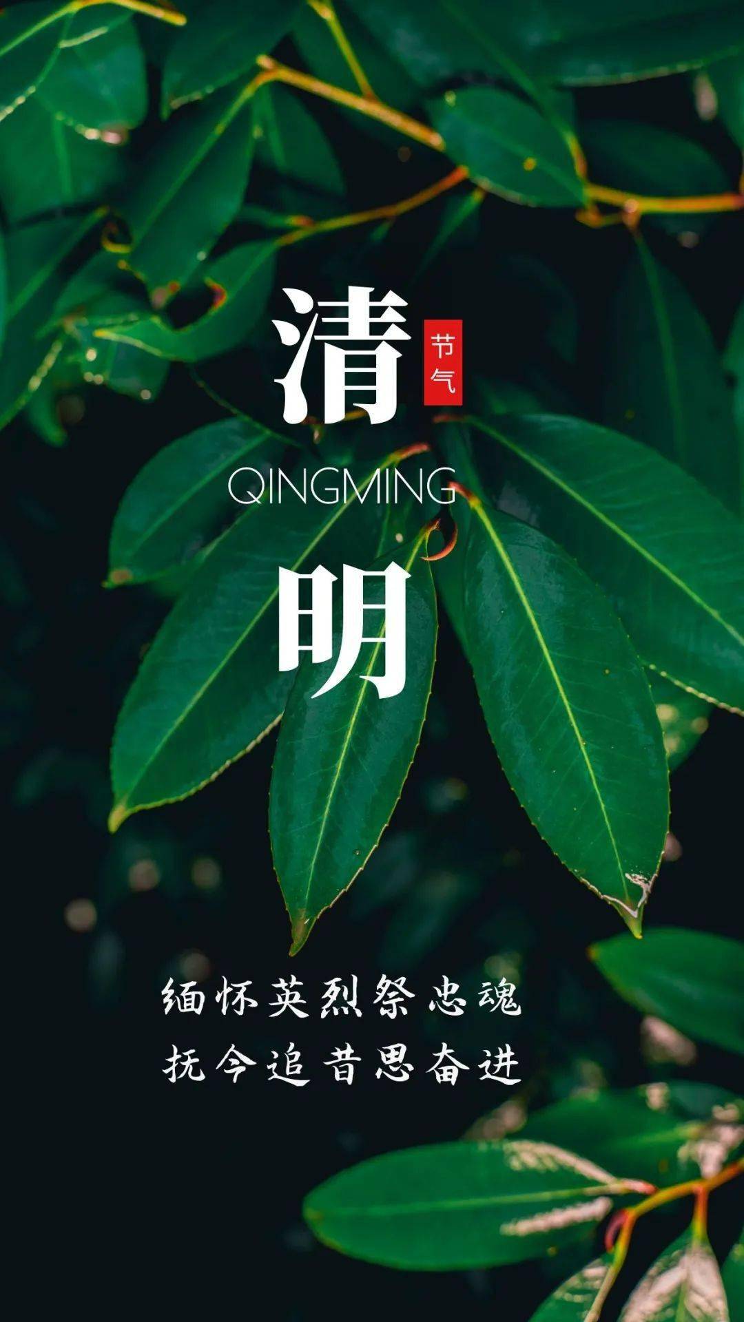 缅怀英烈祭忠魂,抚今追昔思奋进!