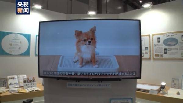 疫情提振 它经济 00块的 宠物空调窝 你会买单吗 日本