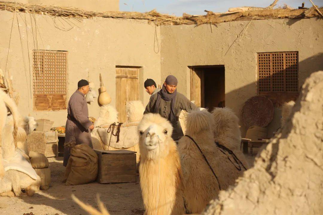 骆驼客三图片