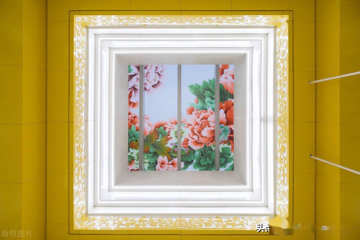 洛阳牡丹广场69米长巨幅玻璃牡丹画惊艳全城众多市民打卡拍照