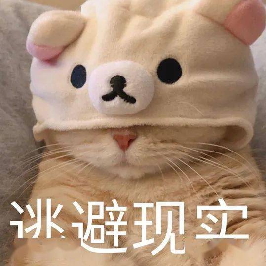 猫猫表情包大合集一整周都不用打字啦