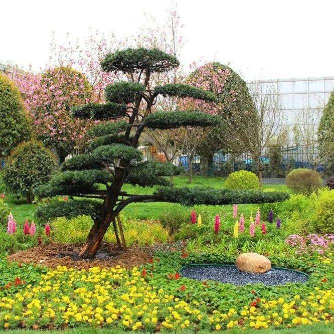 改造前项目位于合肥市高铁南站以东,临近p4停车场出入口,东临庐州大道