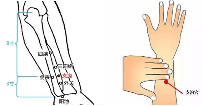 【原创科普】便秘的自我调理