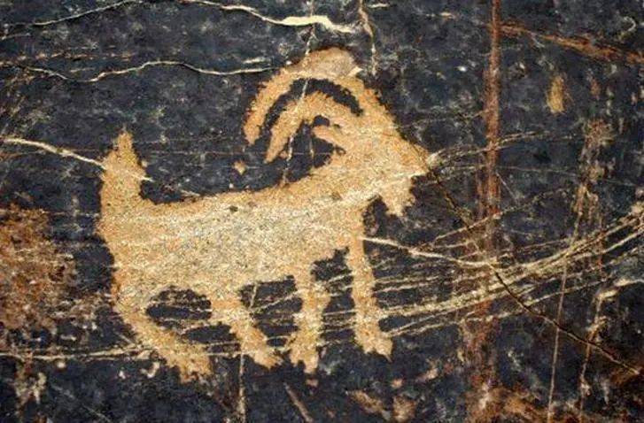 向下滑动查看早在新石器时代羊就已经作为一种艺术题材表现,例如岩画.