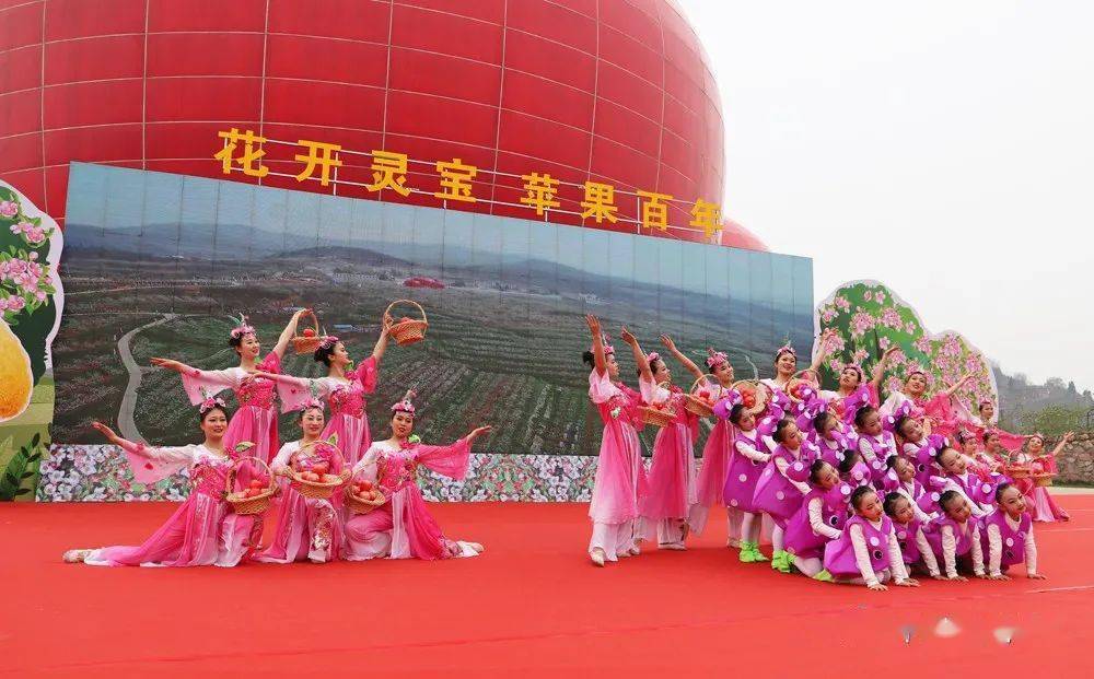 聚焦第四届中国灵宝苹果花节开幕