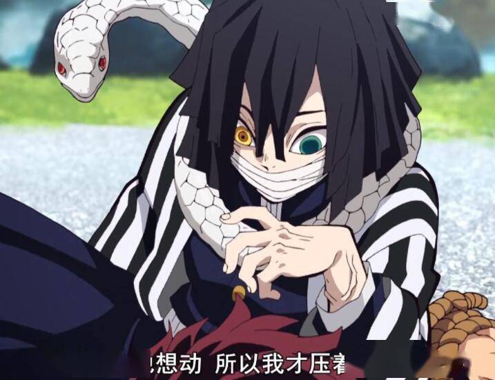 鬼灭之刃鬼杀队最神秘的柱仅凭一人撑战无惨实力不比岩柱弱