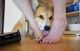 94f1a8c880cf44a9af4b24064c41aef3.jpeg