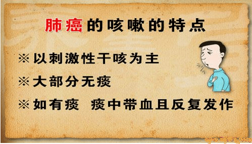 菲娱主管-首页【1.1.4】