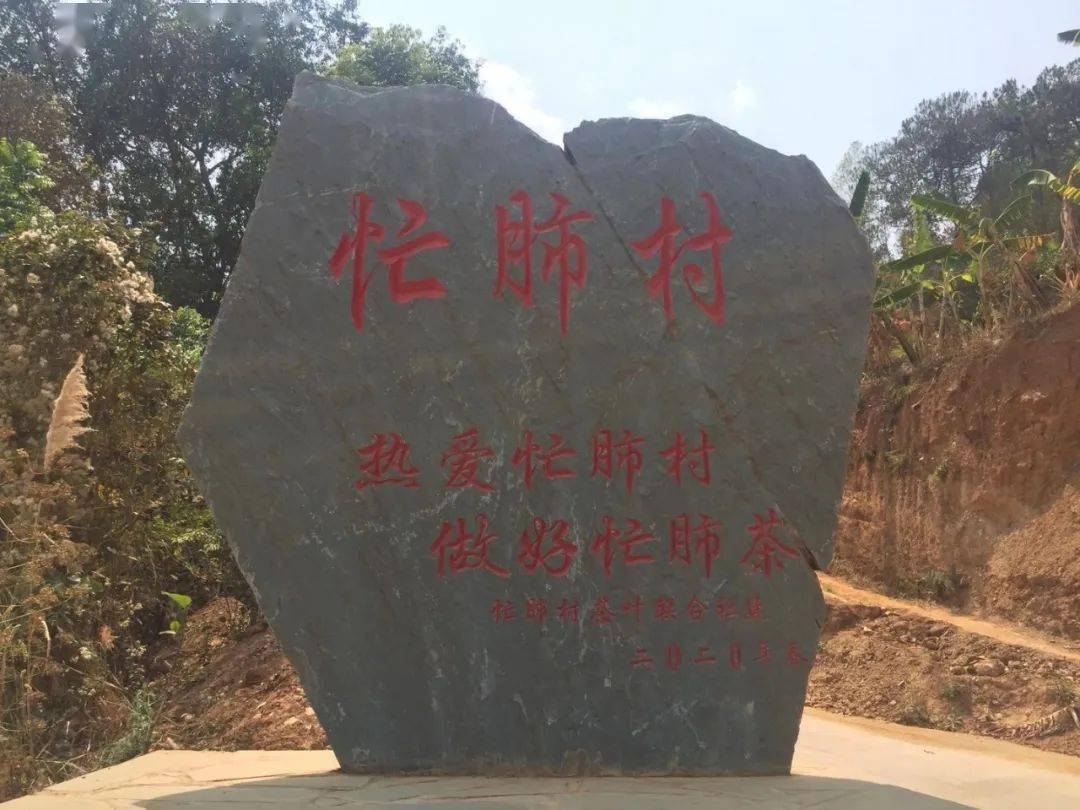 百山百味——甜润顺滑忙肺