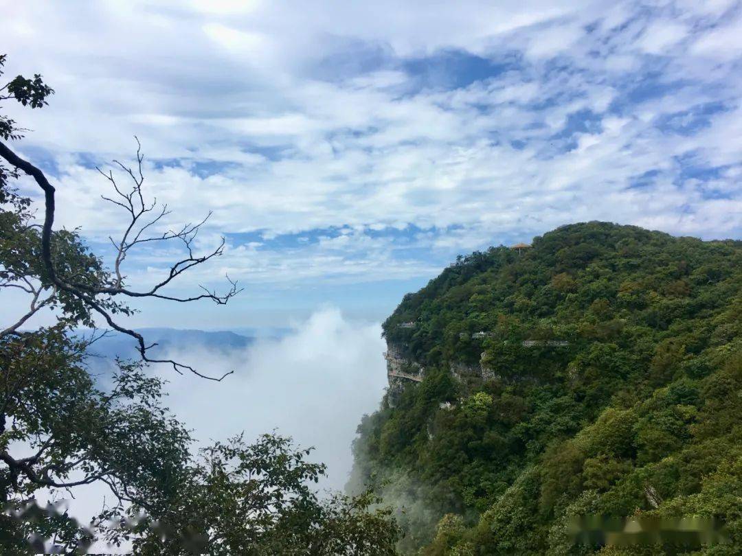 漢中龍頭山景區發佈重要公告_棧道