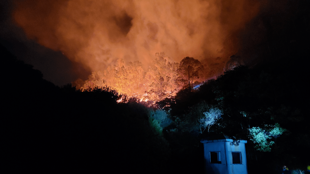 深圳一工业区附近突发山火,火光冲天!部门回应