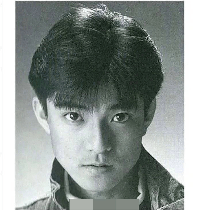 人审美的帅哥了,单看脸还能看得出来颇有我们国家刘德华,郭富城的影子