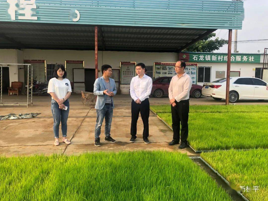 杨通顺到石龙镇新村村调研春耕生产工作end来源:新桂平把本文分享至