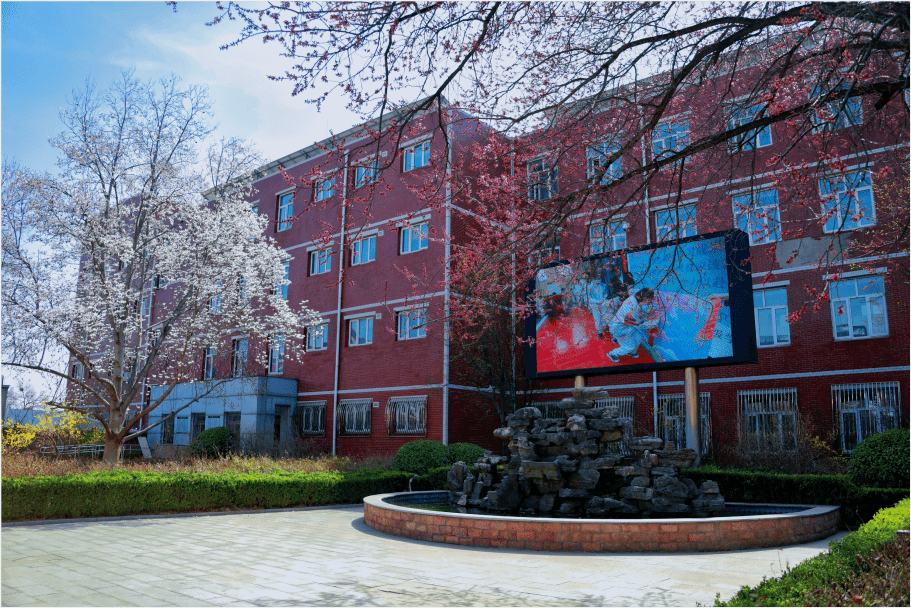 当校园与春色相遇,真是绝色的风景 | 校园春景第三辑